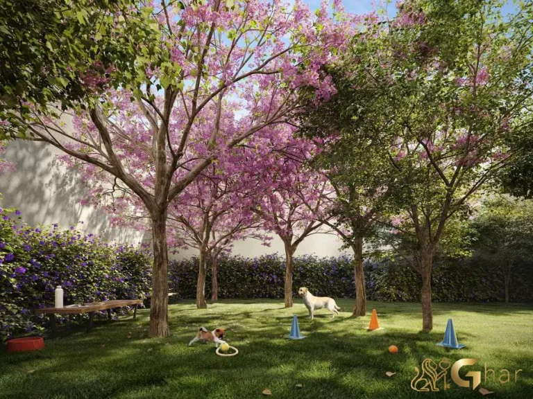 Pet place Sereno Jardim São Paulo