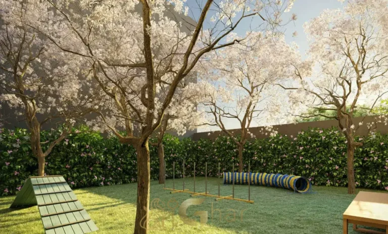 Pet Place Astral Saúde Saúde São Paulo