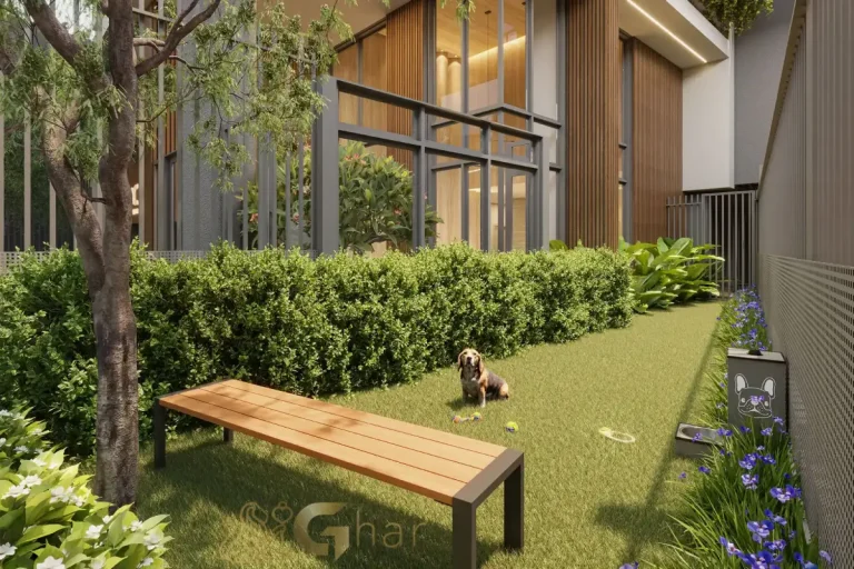 Pet place condomínio MAC Vila Mariana São Paulo