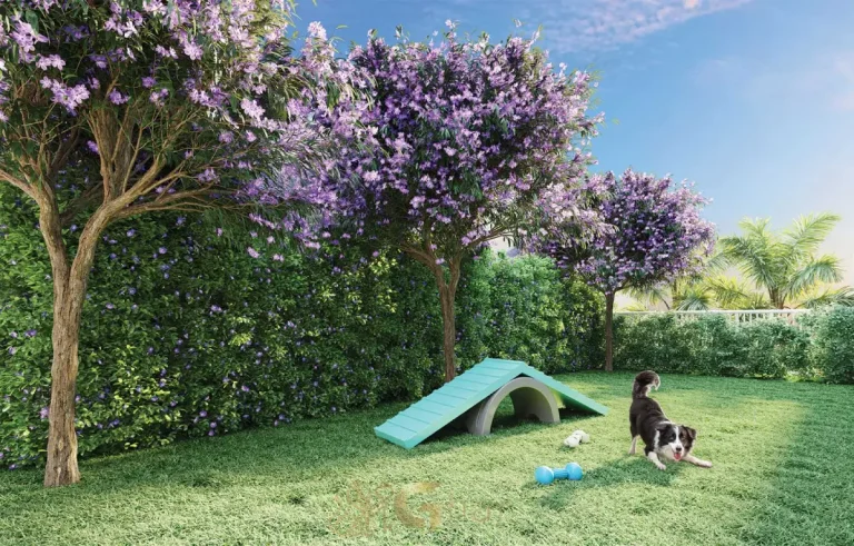 Pet place no Villares Parada Inglesa em São Paulo