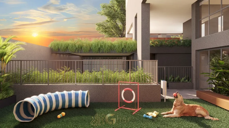 Pet Place ao ar livre no VP Moema