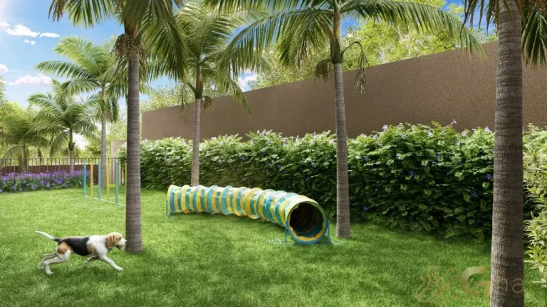 Espaço pet do Aire Alto de Pinheiros, condomínio pet friendly em São Paulo