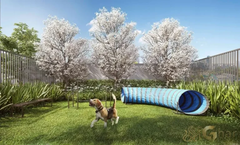 Pet place do Mirant Ibirapuera – espaço para lazer e cuidados com pets