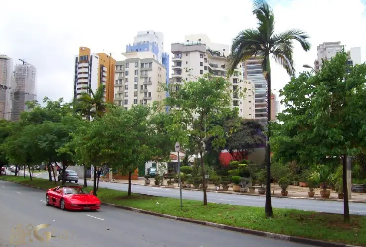 Ruas arborizadas e prédios de alto padrão na Zona Sul de São Paulo