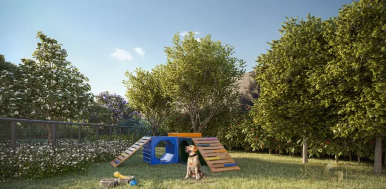 Pet place do Bosque Diálogo Jd. Prudência para cães no Jardim Prudência São Paulo