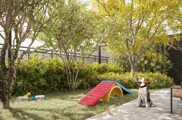 Pet place do Paseo Santa Cruz no Alto do Ipiranga para convivência com animais