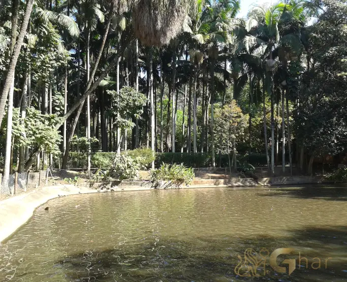 Lago do Parque na Zona Oeste de São Paulo