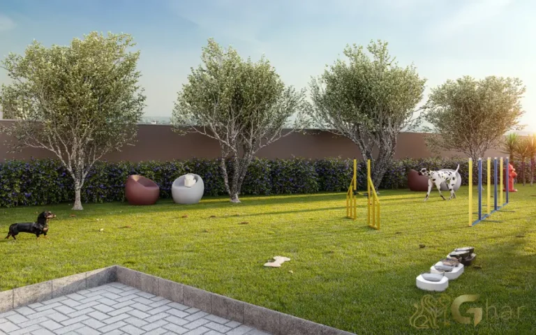 Pet place do condomínio Cidade Central no bairro do Pari, Centro de São Paulo