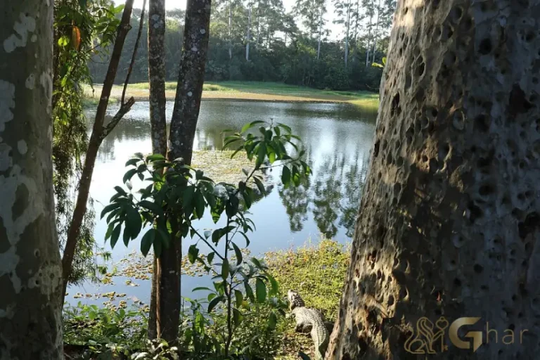 Parque Comandante Jacques Cousteau na Zona Sul de SP