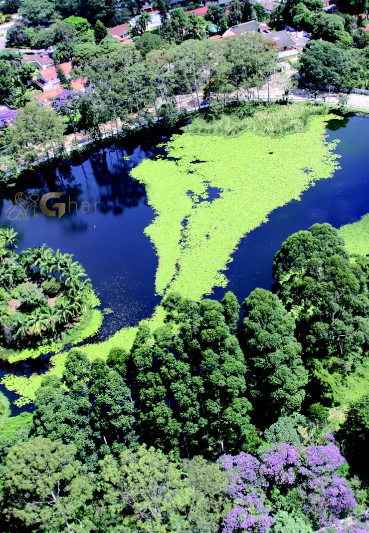 Lago do Parque Jacques Cousteau em Interlagos, Zona Sul de São Paulo