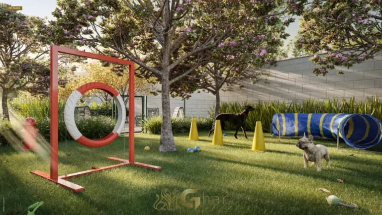 Pet place do The One Chácara Santo Antônio para lazer dos animais