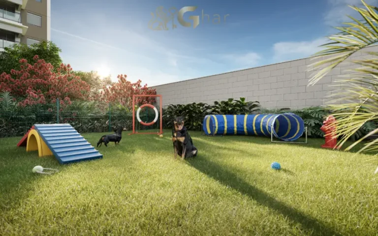 Pet place no The One Granja Julieta, condomínio pet friendly na Chácara Santo Antônio