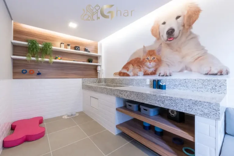 Pet care do condomínio Laguna by Plano&Plano na Chácara Santo Antônio São Paulo