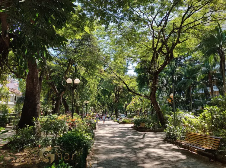Área verde para relaxamento no Jardim São Paulo SP com ambiente tranquilo e arborizado