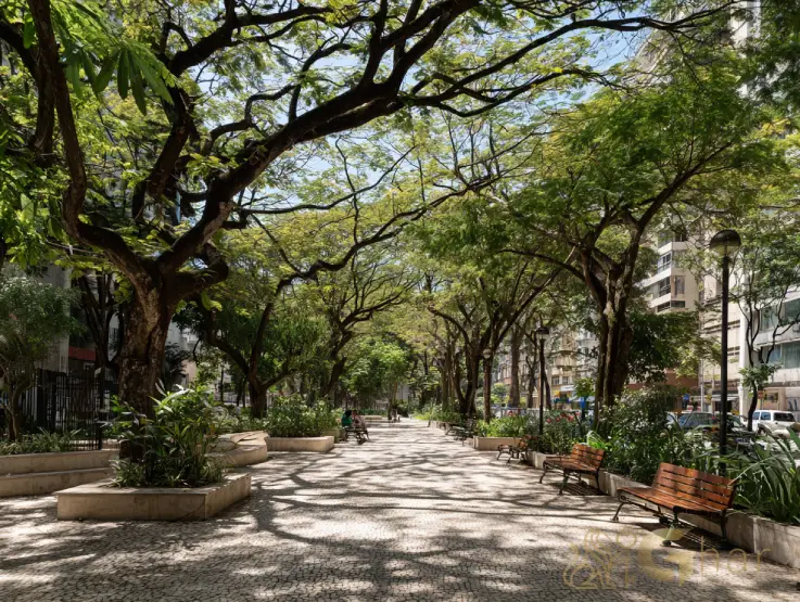 Praça no Jardim São Paulo SP com espaço arborizado para lazer e descanso