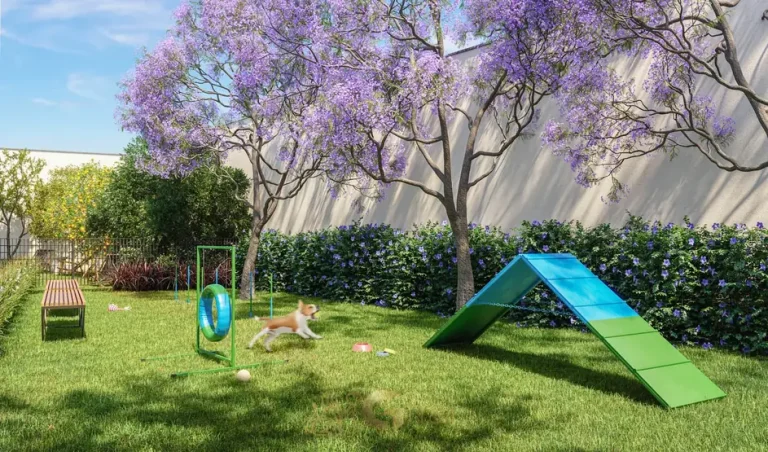 Pet place com área para banho e tosa em apartamentos em Perdizes, São Paulo