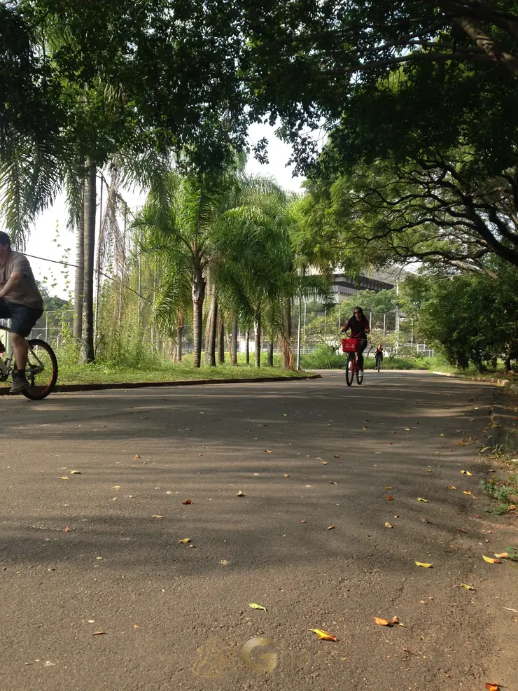 Parque das Bicicletas em Moema – passeio ao ar livre