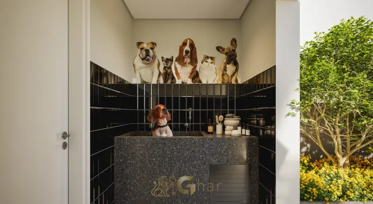 Pet care do condomínio Zenion no bairro da Vila Olímpia, São Paulo