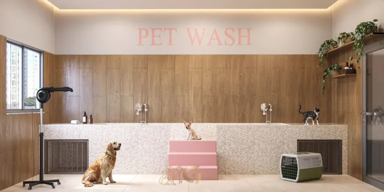 Pet wash em apartamentos no bairro do Ibirapuera, São Paulo