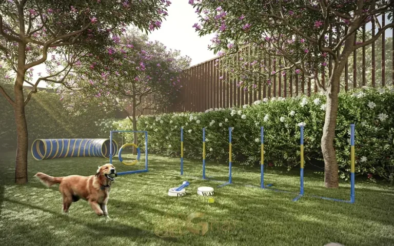 Pet place para convivência com animais em apartamentos no Brooklin, São Paulo