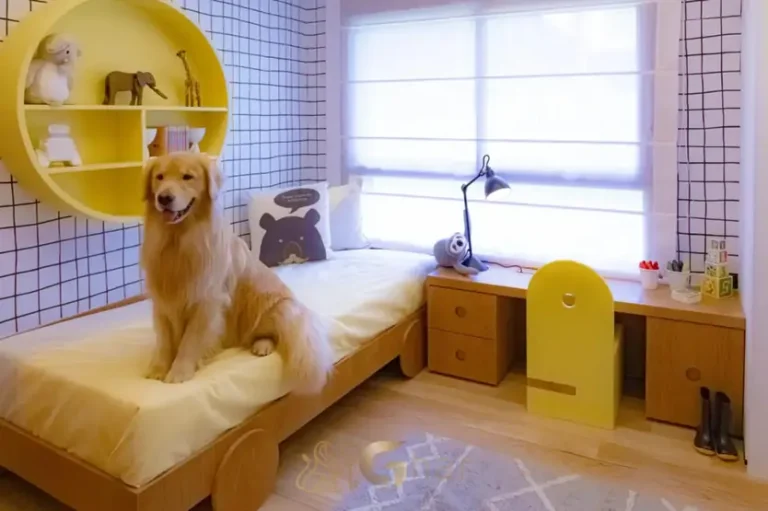Quarto infantil do apartamento decorado em apartamentos no Campo Belo São Paulo